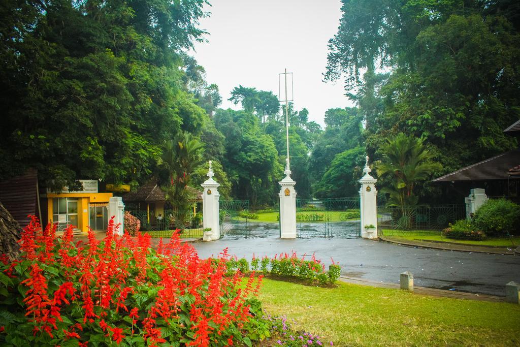 Glory Homestay Канди Екстериор снимка